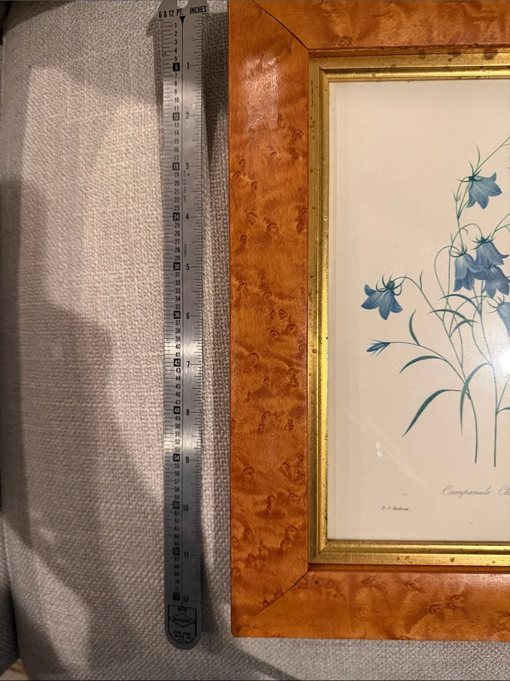 Framed Blue Botanical Print - Blue Floral Wall Art made in England